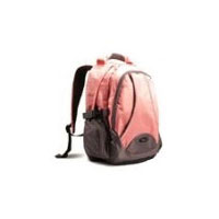 Lenovo IdeaPad 15  Backpack B450 (55Y2034)